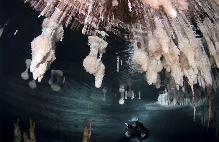 Minerals deposited on stalactites.