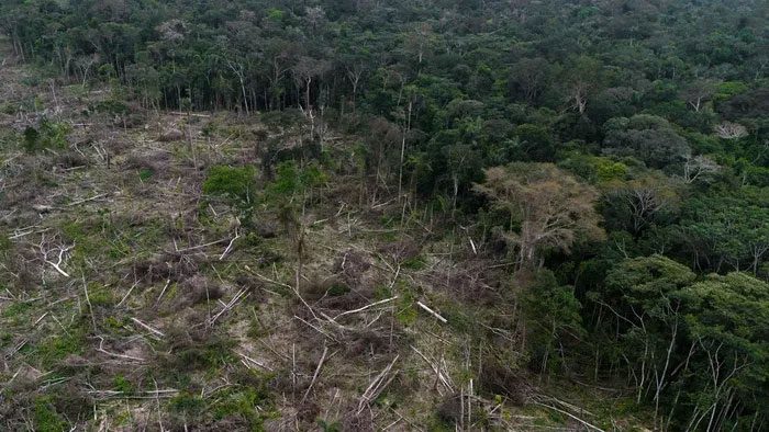 A deforested area near La Paz, Guaviare province, Colombia.