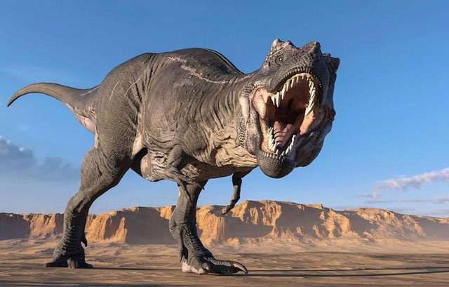 Tyrannosaurus rex emerged about 68 million years ago