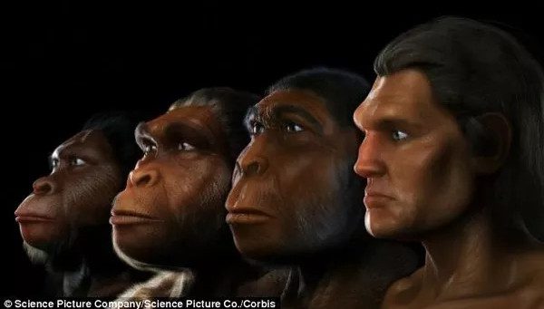 Video: The 6 million year evolution of the human face in just 1 minute