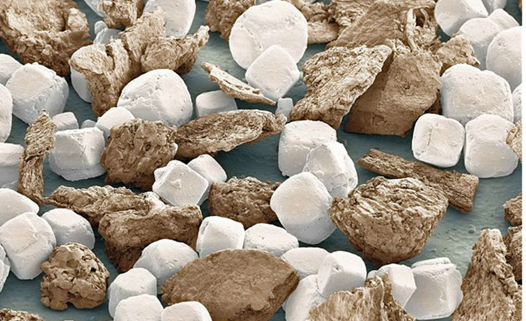 Microscopic image of salt and pepper