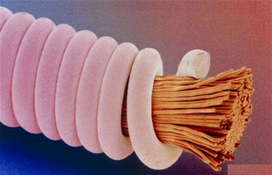 A true image of a guitar string under a microscope