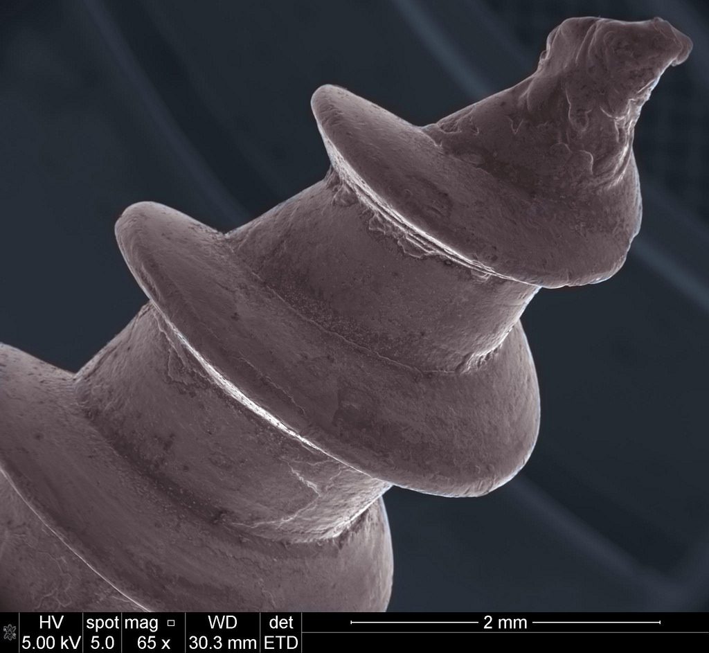 A screw magnified under a microscope