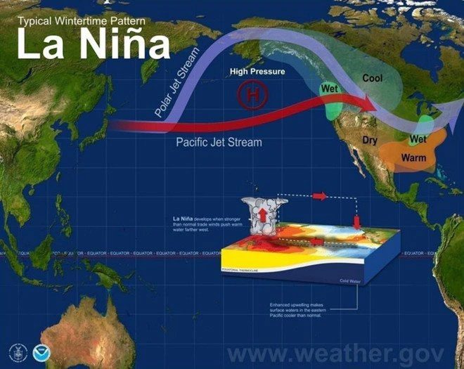 The El Niño phenomenon occurs on average every 3 to 5 years