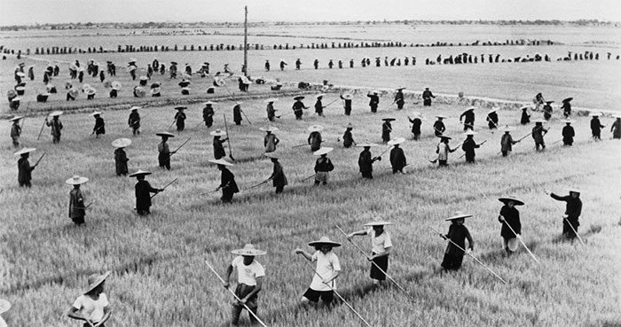 The Great Chinese Famine (1959-1961).