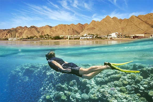 Diving in the Red Sea