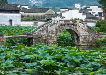 lang huy chau 650