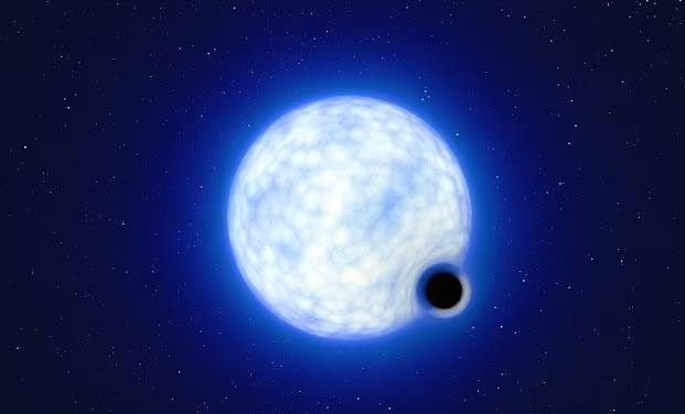  "Portrait" of the newly discovered black hole and its companion 