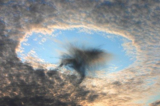 Fallstreak Hole