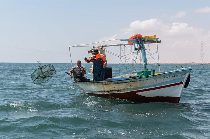 They trained fishermen to catch crabs using cages instead of nets.