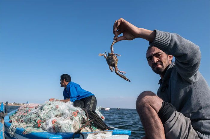 Nabil (right) can spend the entire day removing crabs caught in fishing nets.