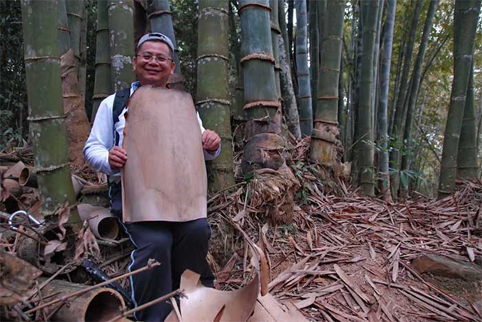 Giant bamboo is used as a material for construction and crafts.