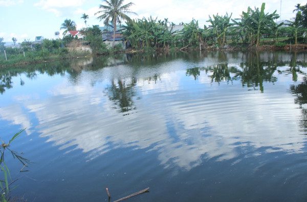 Guidelines for Water Treatment and Environmental Sanitation During Floods