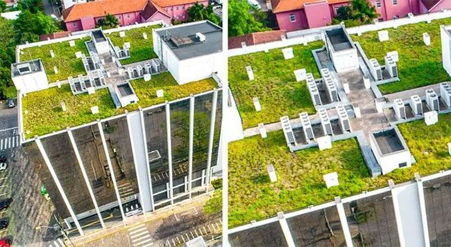 Basel, Switzerland requires all new buildings to have "green roofs"