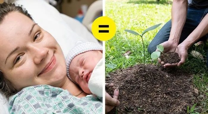 Planting two trees for every baby born in Wales, UK