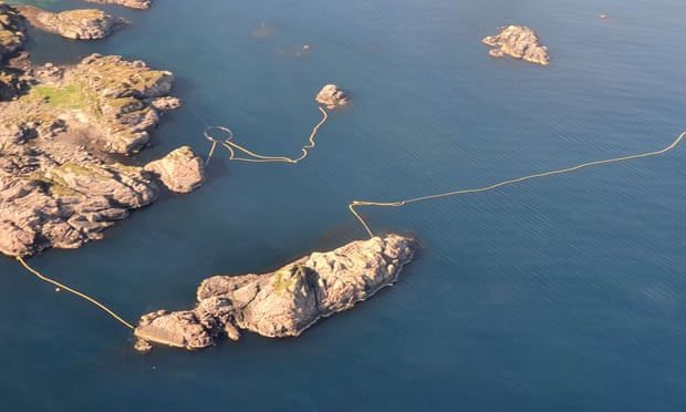 Nets have been set up on the sea surface to "trap" the pod of whales.