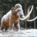 mamut