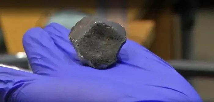 Meteorite fragment discovered by 9-year-old Eli-ze du Toit