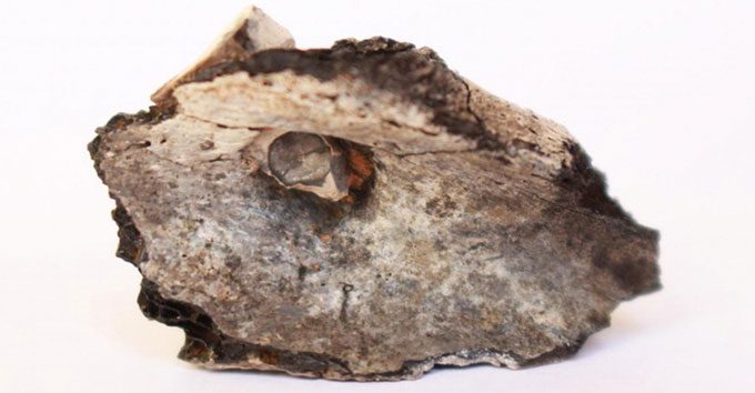 Remains of a cremated bone found in Israel.