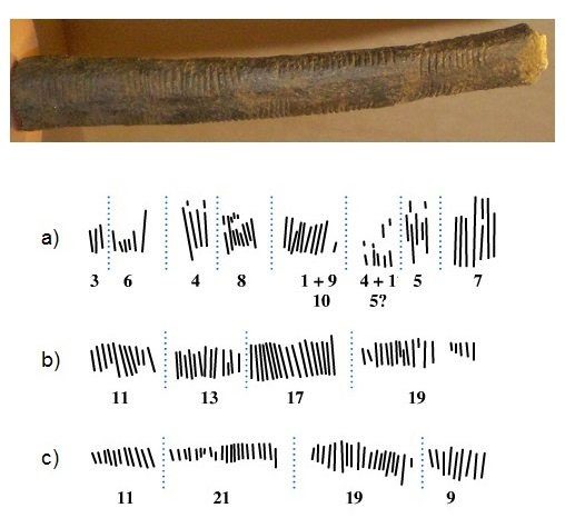 An ancient bone dating back 20,000 years engraved with tally marks.