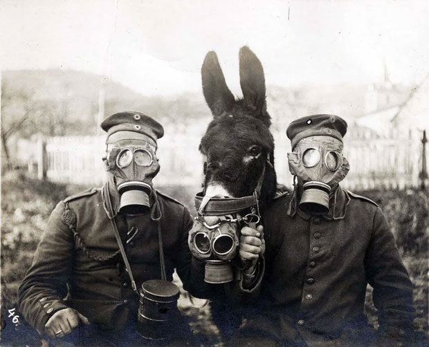 Haber's weapon led to the widespread use of gas masks on World War I battlefields