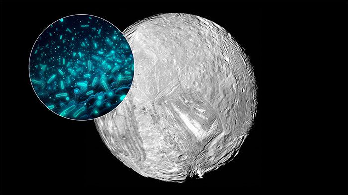 NASA data shows Miranda may harbor a subsurface ocean with life