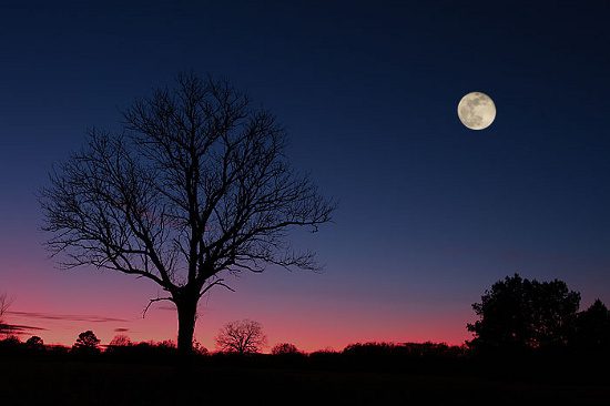 The Moons of Earth