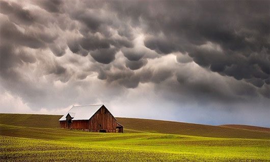 Mammatus Clouds