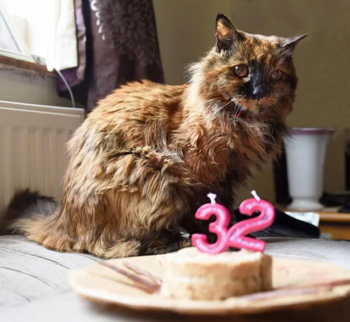 Rosie celebrated her 32nd birthday in 2023.