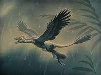 microraptor khunglongbb