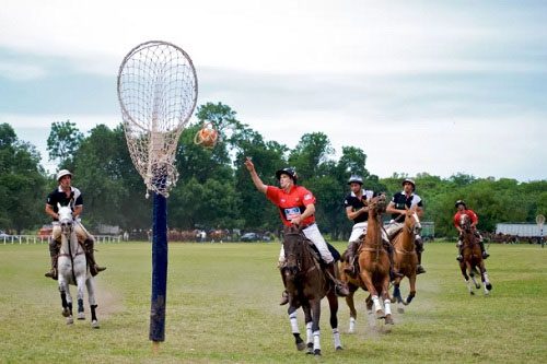 Pato: The official national sport of Argentina