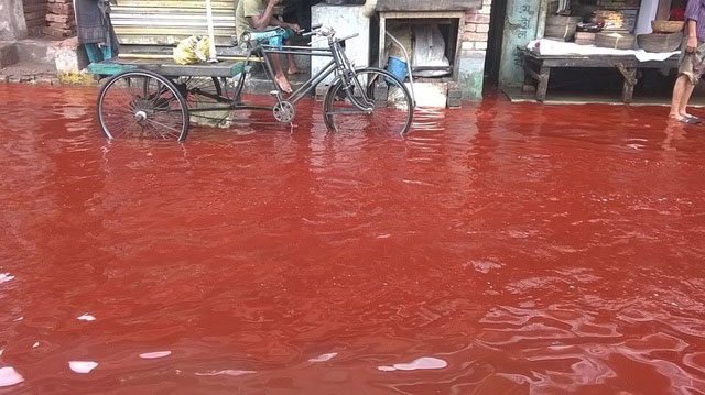 Blood-colored rain in Kerala, India.