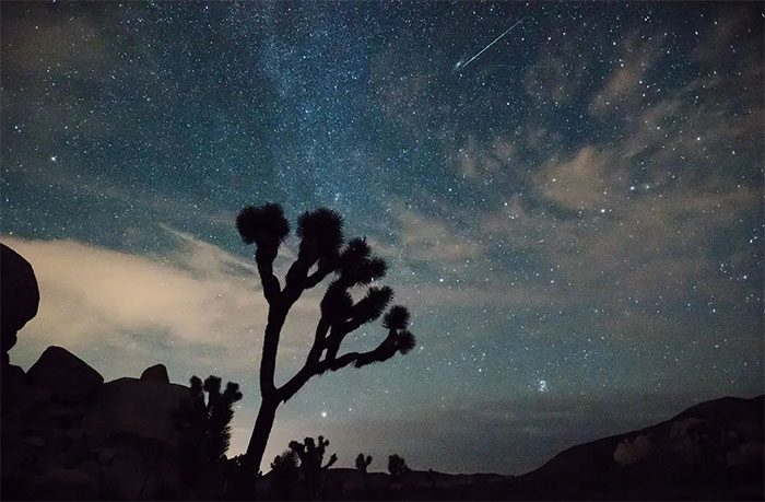 A meteor shower from Joshua Tree National Park (USA)