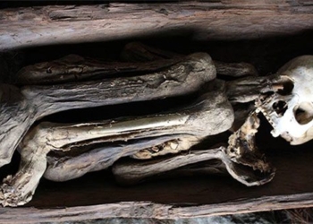 mysterious mummified body with a twin in the philippines 50288