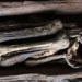 mysterious mummified body with a twin in the philippines 50288