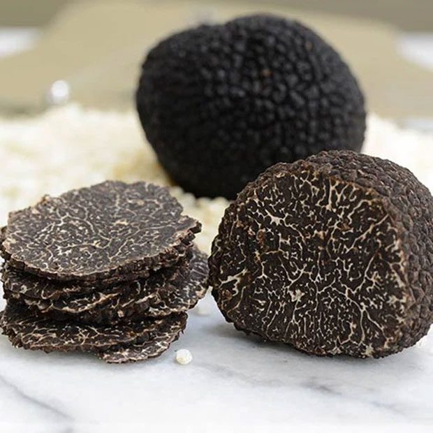 Black truffle