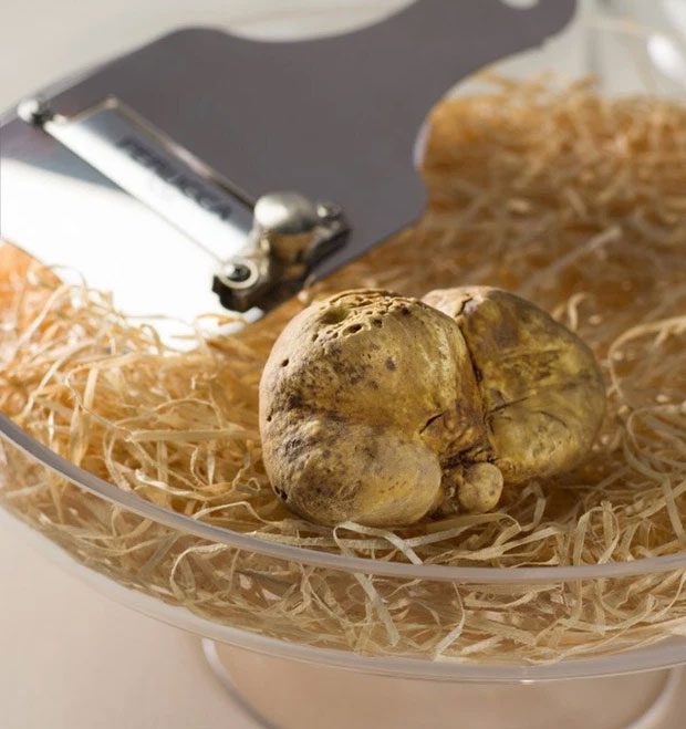 White truffle