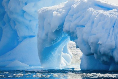 10 interesting facts about the polar regions