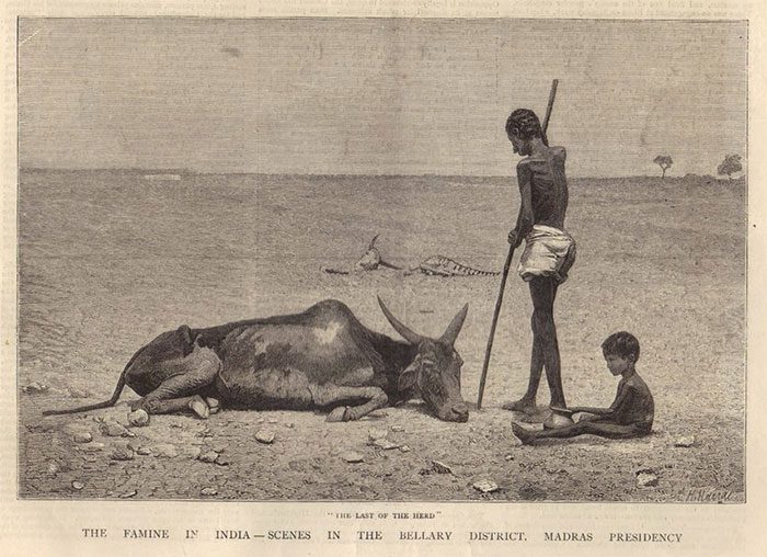 The Skull Famine (1788-1794) in India.