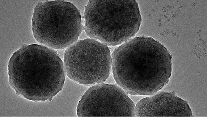 Nanorobots are about 1/20 the size of human red blood cells.