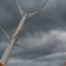 new turbine technology promises a breakthrough in renewable energy 130810