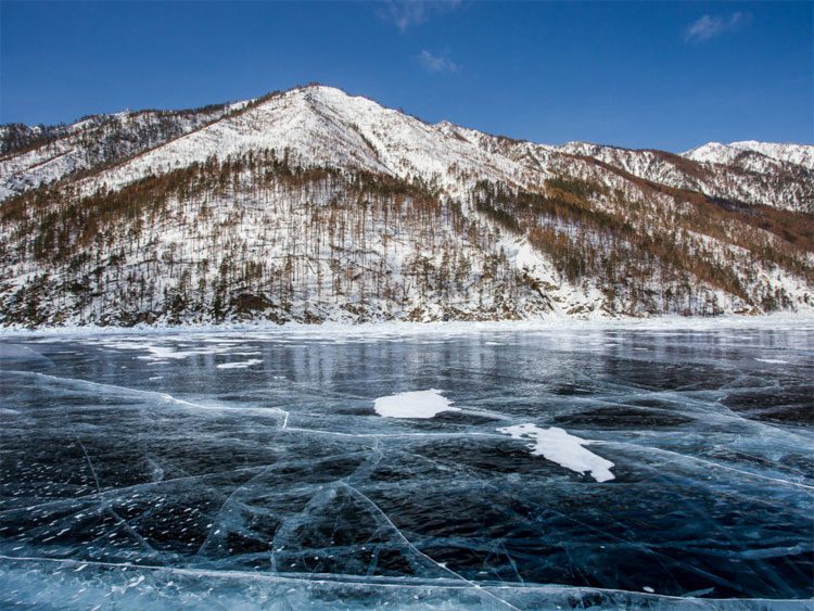 In Siberia, people plant trees under lakes and glaciers on New Year's Eve.