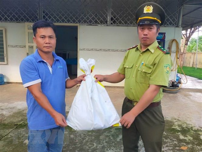 Mr. Ngô Quốc Đạt hands over the Myanmar Kite to the staff of the Đồng Phú Forest Protection Department.