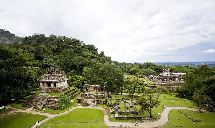 Maya Temple in the Jungle