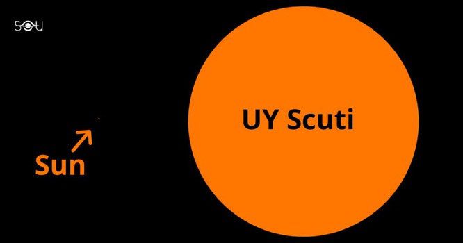 The largest star in the universe observed by humans is UY Scuti.