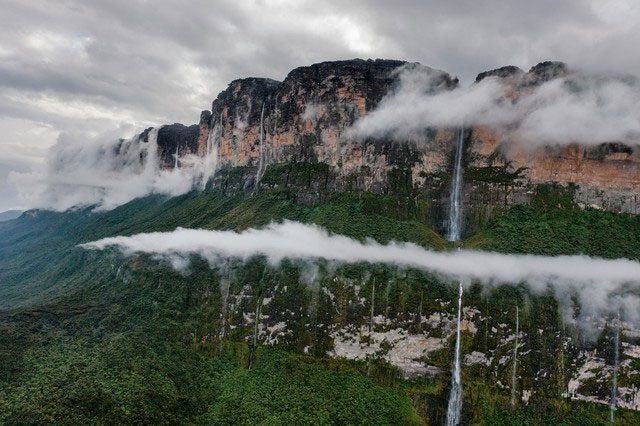 A dense forest devoid of bird or insect sounds is an unusual phenomenon.