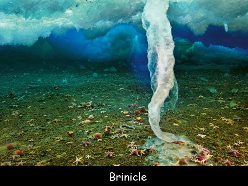 This phenomenon is called brinicle, also known as "finger of death".