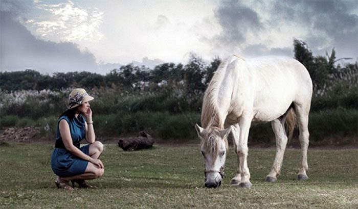 Even during the day, horses must stand to maintain high alertness, prepared for any danger.