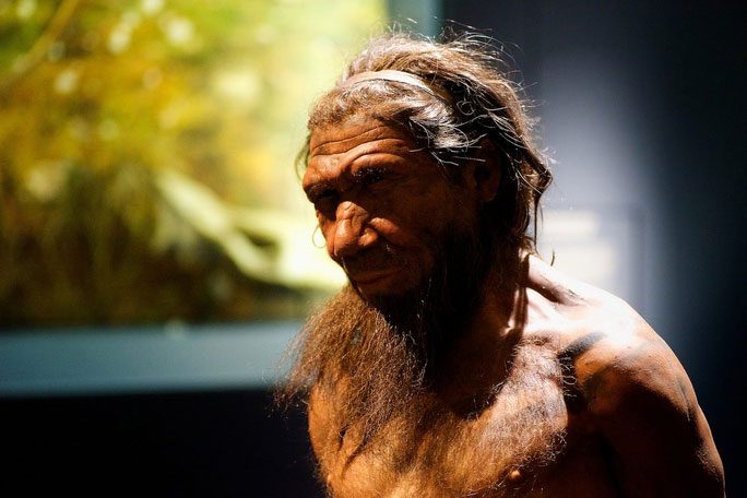 Wax figure of an extinct "superhuman" Neanderthal