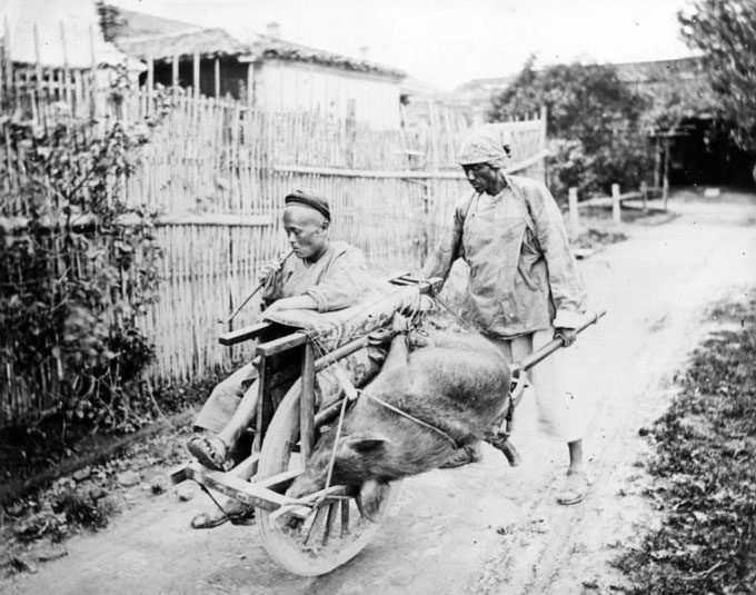 An image of a rickshaw carrying passengers on one side and livestock on the other.